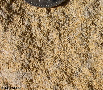 Inferior Oolite close up