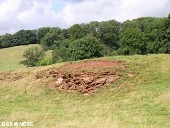 Triassic Dolomitic Conglomerate overlying Carboniferous Limestone,  just west of the A39 near Stoberry.