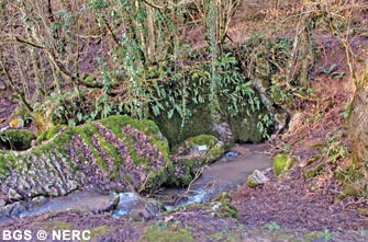 Stoke Lane Slocker. The water reappears at St Dunstan's Well