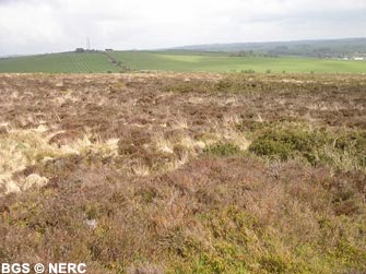 Acid dwarf shrub heath Blackdown, developed on the Devonian Old Red Sandstone, dominated by dwarf ericaceous (acid loving) shrubs, including Ling, Bilberry and Bell heather.
