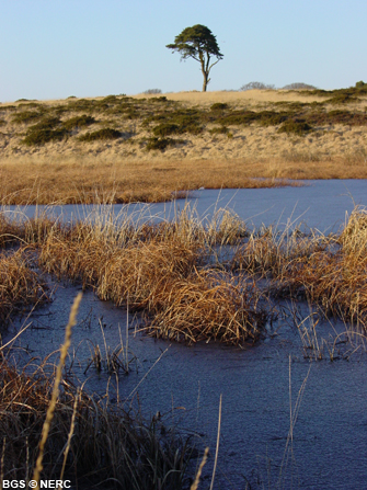 Waldegrave Pool, Priddy