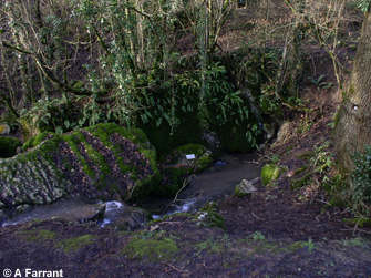 A stream sink, Stoke Lane Slocker, Stoke St Michael.