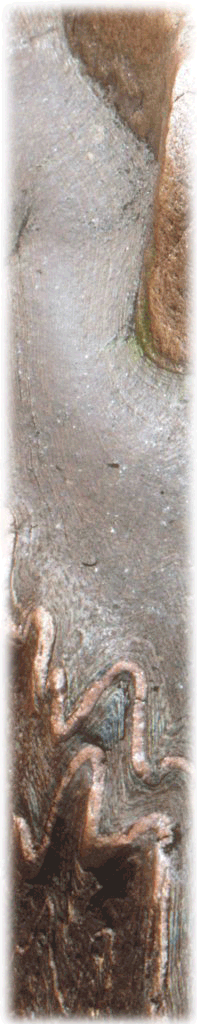 Metamorphic rock